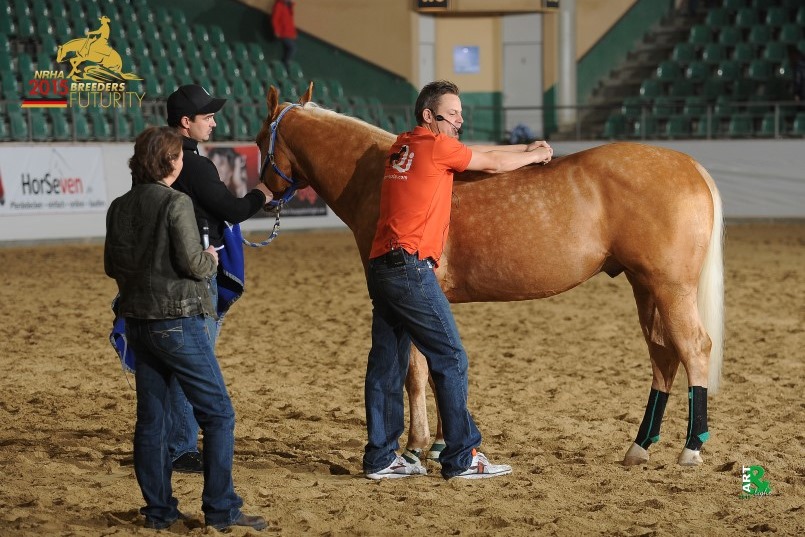 Benjamin Kohl working with a horse at the Breeders Futurity 2015