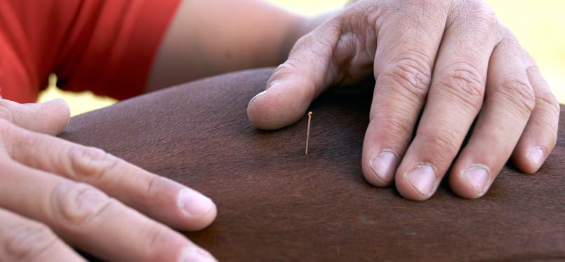 Benjamin Kohl is treating a horse using acupuncture